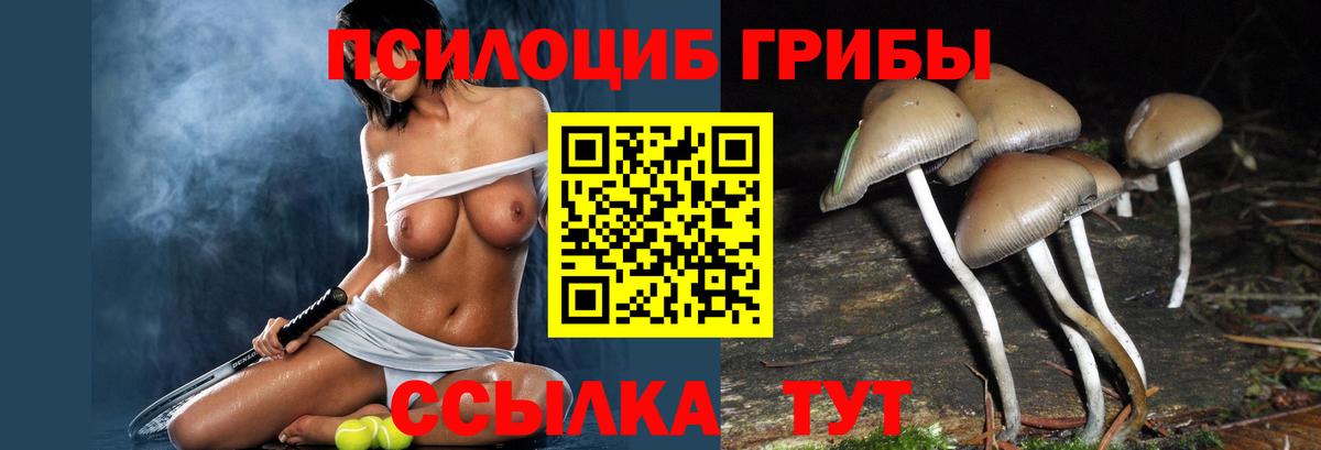 Псилоцибиновые грибы мухоморы Лысьва